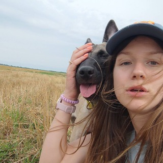 Telegram profile photo for RARI Dog Training