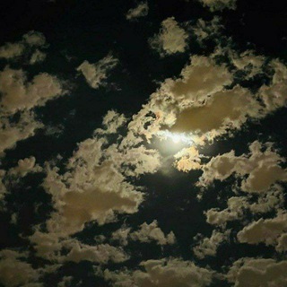 Telegram profile photo for مشاعر مبعثرهه