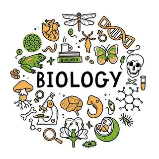 Telegram profile photo for NEET Biology Quiz