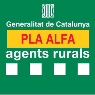 Telegram profile photo for Pla Alfa