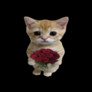 Telegram profile photo for moneypulation