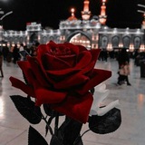 Telegram profile photo for ستوريات ورمزيات حسينية