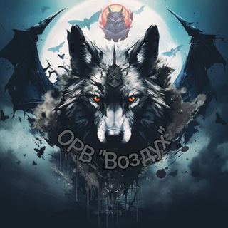 Telegram profile photo for ОРВ "Воздух"