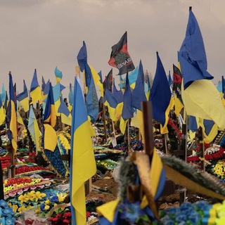 Telegram profile photo for Окупована Україна