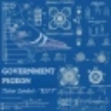 Telegram profile photo for Government Pigeon