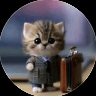 Telegram profile photo for DerNita бредятина всякая