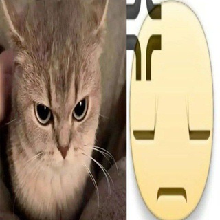 Telegram profile photo for архив почеркушек