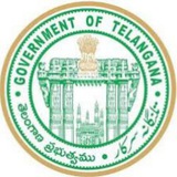 Telegram profile photo for Ts Alerts