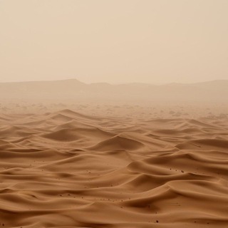 Telegram profile photo for همس الصحراء