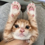 Telegram profile photo for 🔥🔥🔥ССЫЛКА🔥🔥🔥