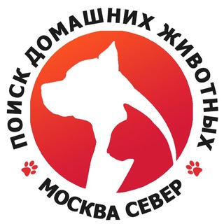 Telegram profile photo for САО Мск | Поиск домашних животных
