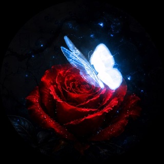 Telegram profile photo for RoseUp(MIREA)