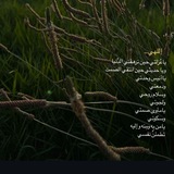 Telegram profile photo for نفحاتُ الرحمة
