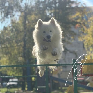 Telegram profile photo for герда в обьективе📸