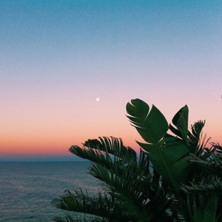 Telegram profile photo for ・〃₊˚𝐿𝑒𝑏𝑒𝑑𝑒𝑣 𝑆ℎ𝑜𝑝·˚ ༘ ₊˚⌗