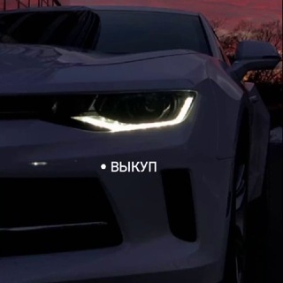 Telegram profile photo for Добрый Перекуп
