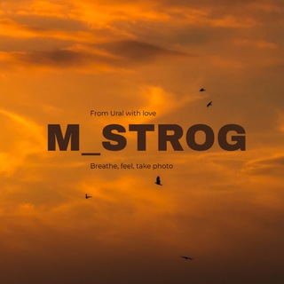 Telegram profile photo for m_strog