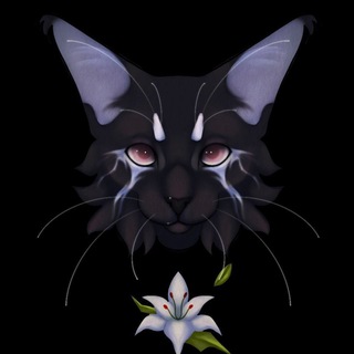 Telegram profile photo for sent