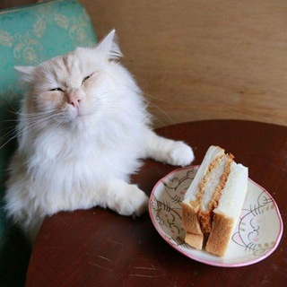 Telegram profile photo for ВОР ГОВНА