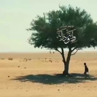 Telegram profile photo for مواسم الخيرات | زاد المؤمن/ـة