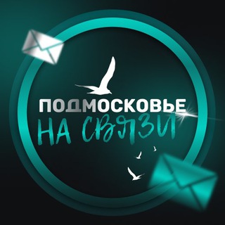 Telegram profile photo for Подмосковье на связи