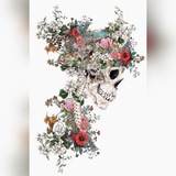 Telegram profile photo for Anatomy