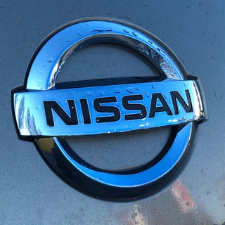 Telegram profile photo for Nissan Leaf🍃Ukraine🇺🇦