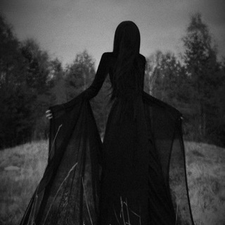 Telegram profile photo for Died Блог