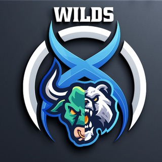 Telegram group profile photo for 0xWilds