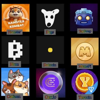 Telegram profile photo for ایردراپ سیتی | استارز | داگز | کتیزن