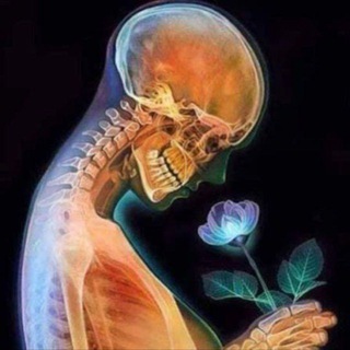 Telegram profile photo for Pulse of Radiology مرحله الثالثه 🩺