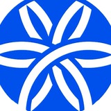 Telegram profile photo for ПЯТЫЙ УГОЛ