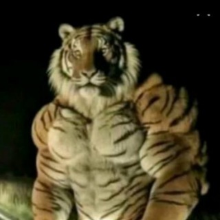 Telegram profile photo for Шакаловый Шампур