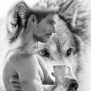 Telegram profile photo for World Arts Vision Gifs ...