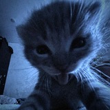 Telegram profile photo for πΆπ΄π πΆπππΈ ππππ