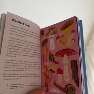 Telegram profile photo for English books for children