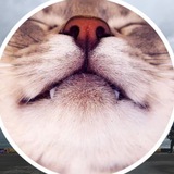 Telegram profile photo for ⚡️продаю и в путь 🇬🇪 Батуми
