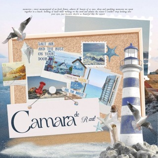 Telegram profile photo for Camara–de–Rent!