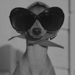 Telegram profile photo for فَخ.