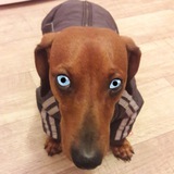 Telegram profile photo for попуск.media