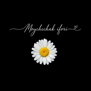 Telegram profile photo for Moychechak_ifori