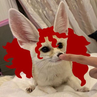 Telegram profile photo for Костерок