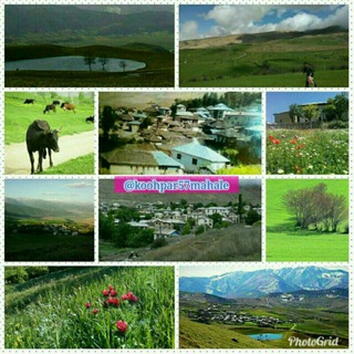 Telegram profile photo for 🌾کوهپر محله🌾