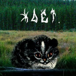 Telegram profile photo for Ждёт devblogs