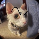 Telegram profile photo for Papy Star