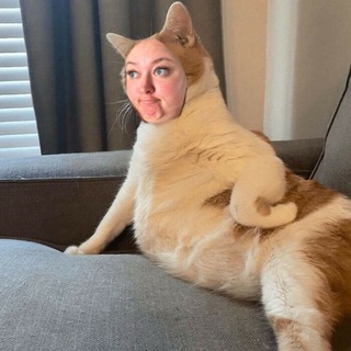 Telegram profile photo for Янина Соционика
