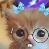 Telegram profile photo for ompong