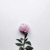 Telegram profile photo for People change to be perfect🌸