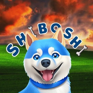Telegram profile photo for Shiboshi Portal