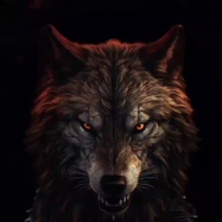 Telegram profile photo for Chuni's Trading Journal